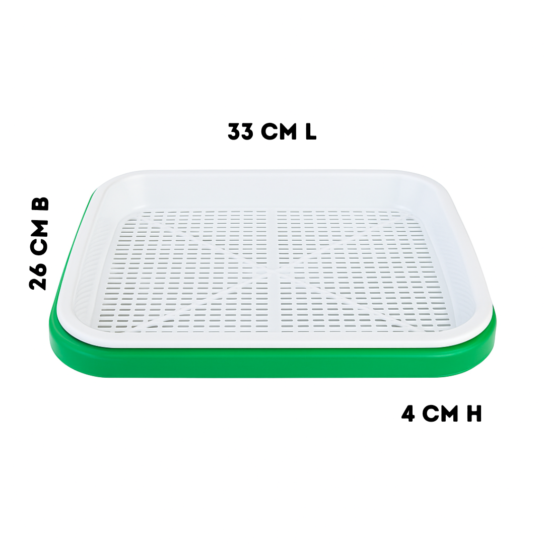 Reusable BPA-Free Microgreens Growing Tray – Soil-Free Hydroponic Sprouter with Lid & Drain Holes for Wheatgrass, Sunflower, Basil – Indoor Kitchen Garden, Easy Clean & Low Maintenance (Pack of 1)