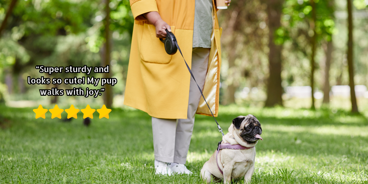 5m Retractable Dog Leash โ Anti-Tangle, Stylish & Durable